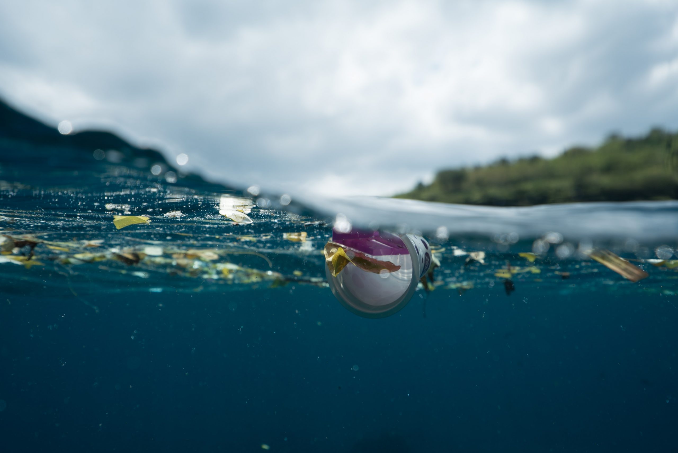 rubbish on Australia’s marine animals