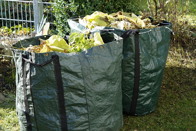 Interesting Facts about Green Waste - Solo Resource Recovery